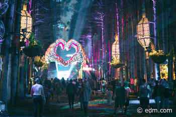 Electric Forest 2022 Dates Revealed - EDM.com