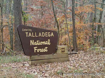 Talladega Forest wildfires 90% contained, trails reopen - Alabama Daily News