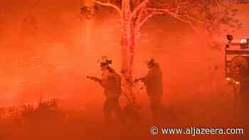 Australia’s forest fires fanned by climate crisis: Study - Aljazeera.com