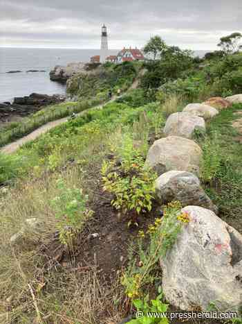 Maine Gardener: Cliff Trail at Fort Williams Park to get whole new look - pressherald.com