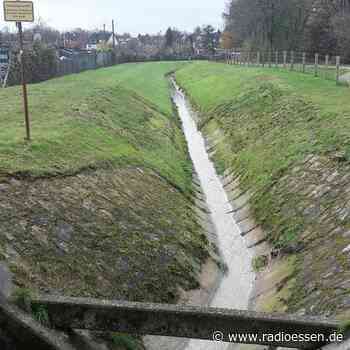 Erste Naturwand in Essen schützt Weg vor Einsturz - Radio Essen