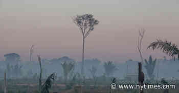 Tracing the Trail of Amazon Deforestation - The New York Times