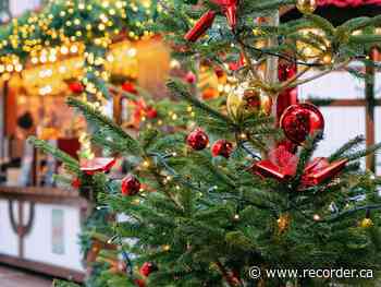 Festival holiday fun coming to Cobden Nov. 27 - Brockville Recorder and Times