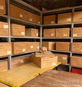 Novità: il Museo Eusebio di Alba svela i suoi depositi - LaVoceDiAlba.it