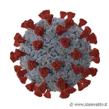 Alba: sono 136 gli attualmente positivi al Covid - www.ideawebtv.it - Quotidiano on line della provincia di Cuneo - IdeaWebTv