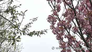 Projekt Hildegardweg fortführen: VG Lalo-Stromberg soll 1,7 Millionen für Tourismus und Wirtschaft ausgeben - Rhein-Zeitung