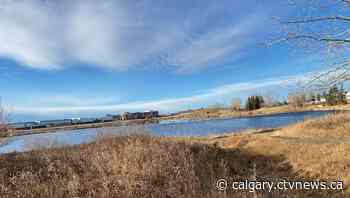 Calgary weather for Monday, Nov. 29 | CTV News - CTV News Calgary