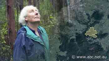 Margaret can't believe they let this once-thriving forest degenerate into a weed-infested moonscape