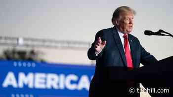 US intelligence community 'struggled' to brief Trump in 2016, CIA review shows