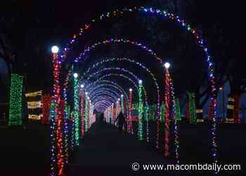 Tunnel of Lights graces Blossom Heath Park in St. Clair Shores this season - The Macomb Daily