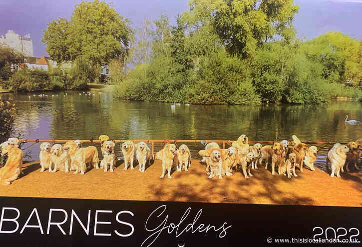 The Barnes Dog Fair, Oscar Davis, Latymer Upper School