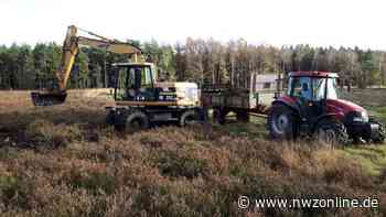 Niedersächsische Landesforsten: Sager Heide nimmt Gestalt an - Nordwest-Zeitung