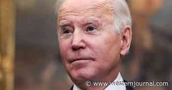 'Laptop from Hell' Affirms Joe Biden Is the 'Big Man,' Expected 10% Cut from Deal with Chinese Giant