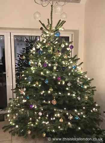 Christmas trees- how to have the lowest carbon footprint- by Libby Rf from Putney High School