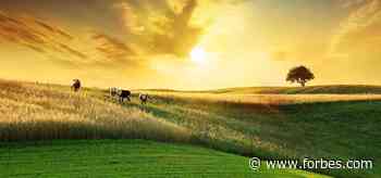 It’s Time to Redesign Our Food System to Be Circular: New Report - Forbes