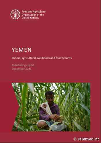 Yemen: Shocks, agricultural livelihoods and food security, Monitoring report, December 2021 - Yemen - ReliefWeb