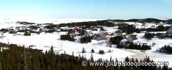 Retard dans le délai de traitement des demandes d’assurance-emploi