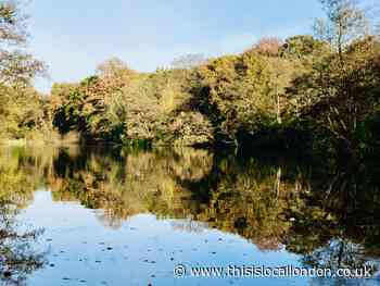 Stanmore's best place for a walk- By Mawada Najem Bentley Wood High School