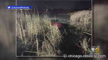 Car Crashes Into Pond In Aurora - CBS Chicago
