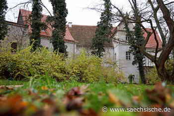 Riesa: Riesa: Neue Schlossretter in Jahnishausen gesucht - Sächsische.de