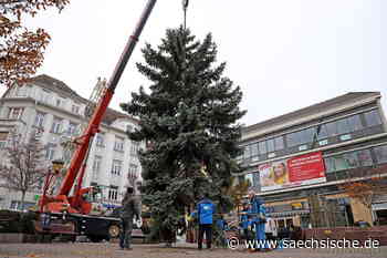 Riesa: Noch ein Weihnachtsbaum für Riesa - Sächsische.de