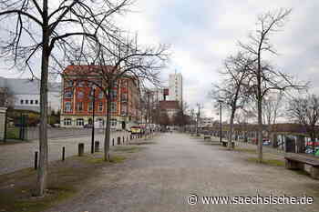 Riesa: Stadt Riesa lädt zum Bäume-Auspflanzen ein - Sächsische.de