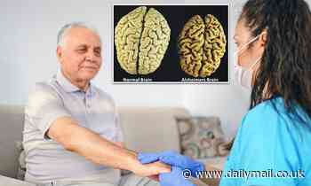 Brain cells' slow ability to clean themselves may be what causes Alzheimer's, study finds 