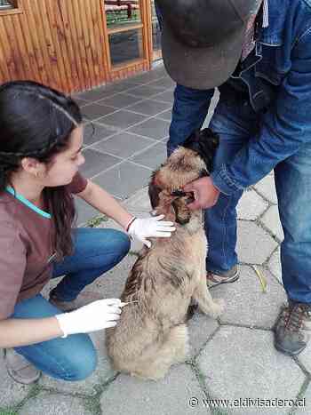 RealizarÃ¡n taller sobre primeros cuidados de las mascotas en Puerto Guadal - El Divisadero