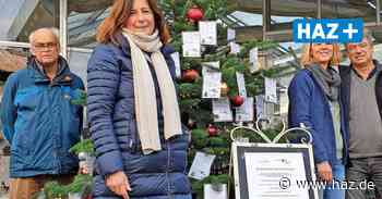 Hemmingen: Wunschbaum-Aktion der Bürgerstiftung startet mit Rekord - Hannoversche Allgemeine