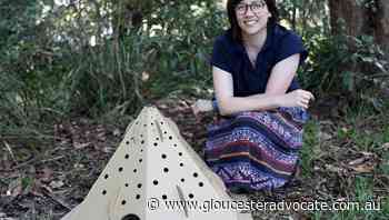 High hopes for cardboard housing estate - Gloucester Advocate