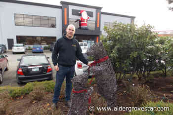 Christmas fundraiser lights up Gloucester Estates – Aldergrove Star - Aldergrove Star