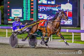 Gloucester Park review - Harnesslink