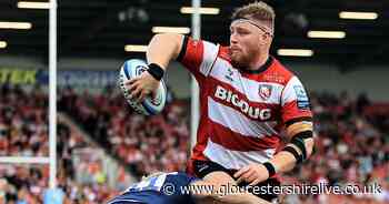 The remarkable rise of Gloucester Rugby prop Harry Elrington - Gloucestershire Live