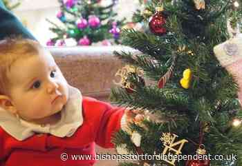 Christmas tree festival to take root in village church - Bishop's Stortford Independent