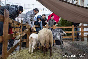 Farmer City, une ferme géante en centre-ville d'Epinal - Epinal infos - Epinal Infos