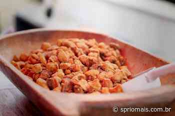 Lorena recebe 1° Festival do Torresmo e Churros com entrada gratuita - SP Rio +