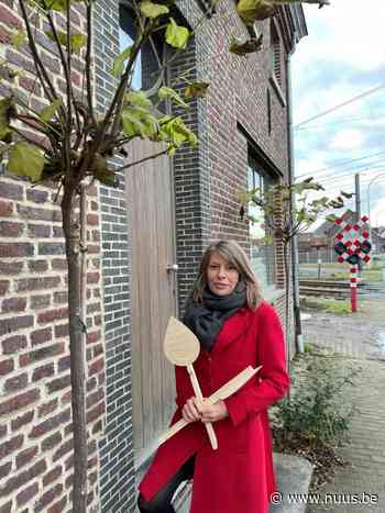 Zwalm wil zo veel mogelijk geveltuintjes realiseren! - NUUS