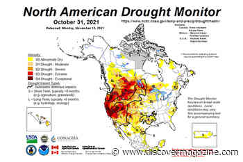What Weather Should We Expect This Winter?