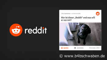 Reddit – Foren-Voodoo für Marketing-Erfolge? - trumedia Brand Lab - B4B Schwaben