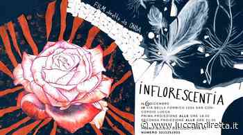 Inflorescentia, a San Concordio l'opera prima di Sara Mattei - Luccaindiretta - LuccaInDiretta