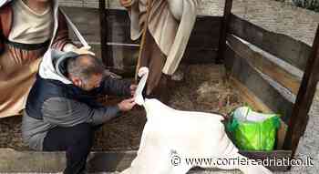 Sacra Famiglia vittima dei vandali, danneggiato il presepe del Pincio opera dei maestri carristi - Corriere Adriatico