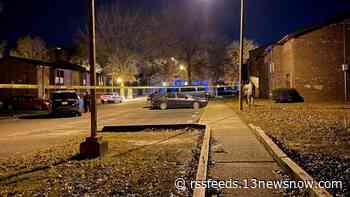 Suffolk police identify men shot in Cogic Square