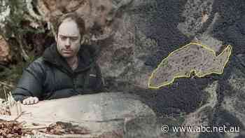 Ed was browsing satellite photos of Mount Delusion when he noticed something odd about the forest