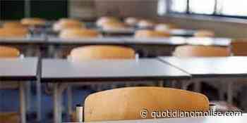 Studente positivo al Liceo Scientifico di Termoli, attivata la dad - Il Quotidiano del Molse