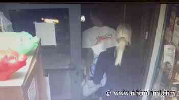 Video Shows Car Crashing Into Shoppers Outside Davie Market