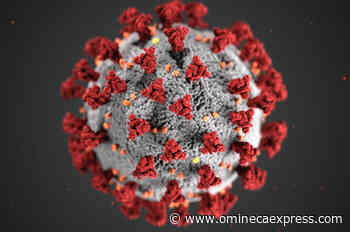 Canada attends emergency G7 health meeting on Omicron variant - Vanderhoof Omineca Express