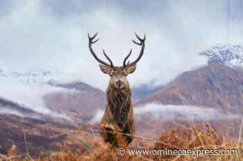 Enjoy the great outdoors this winter with Outdoors West! - Vanderhoof Omineca Express