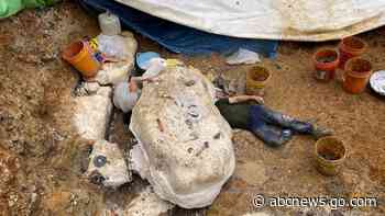 Duck-billed dinosaur may be one of many at Missouri site