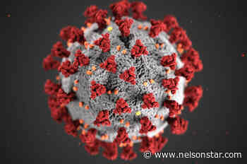 Canada attends emergency G7 health meeting on Omicron variant - Nelson Star