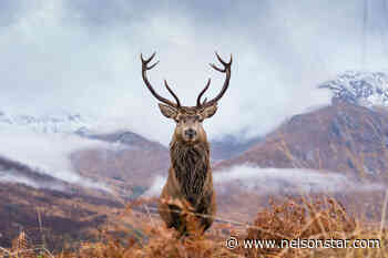 Enjoy the great outdoors this winter with Outdoors West! - Nelson Star